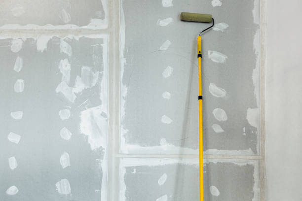 Best Drywall Texturing  in Shenandoah, IA