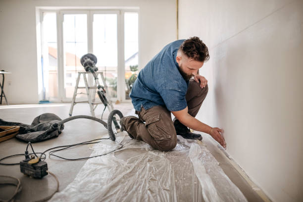 Best Water-Damaged Drywall Repair  in Shenandoah, IA