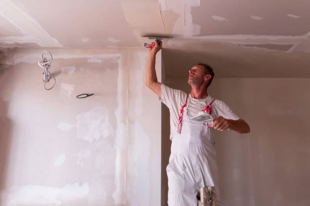 Best Fire-Damaged Drywall Repair  in Shenandoah, IA