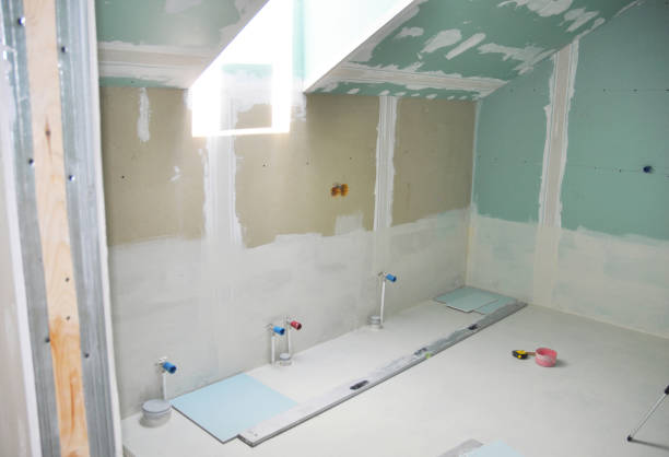 Best Drywall Removal and Disposal  in Shenandoah, IA